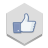 Facebook Like Icon 48x48 png